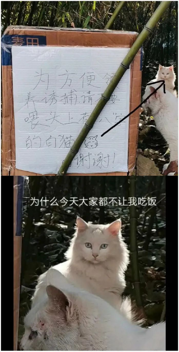 要想屁股光滑有弹性,你只需要一件神器!-微信头条网 要想屁股光滑有弹性,你只需要一件神器!