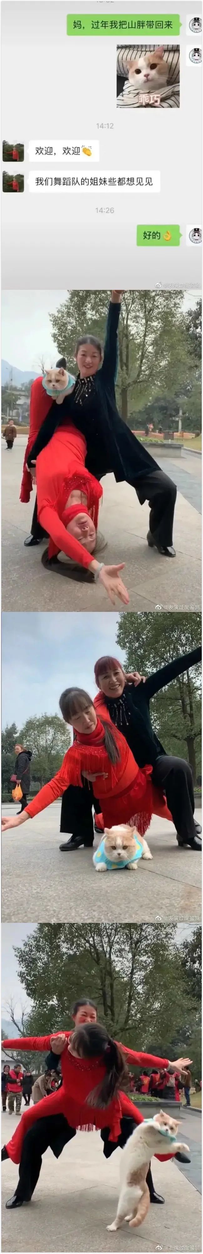 我想我现在必须张开双腿了~-微信头条网 我想我现在必须张开双腿了~