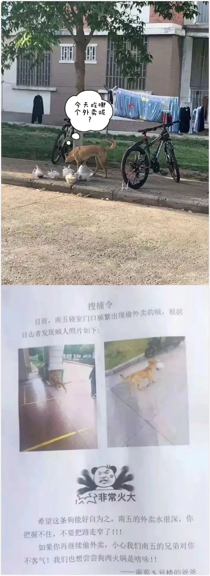惊!这个国家的男人舌头普遍比别人灵活3%!-微信头条网 惊!这个国家的男人舌头普遍比别人灵活3%!