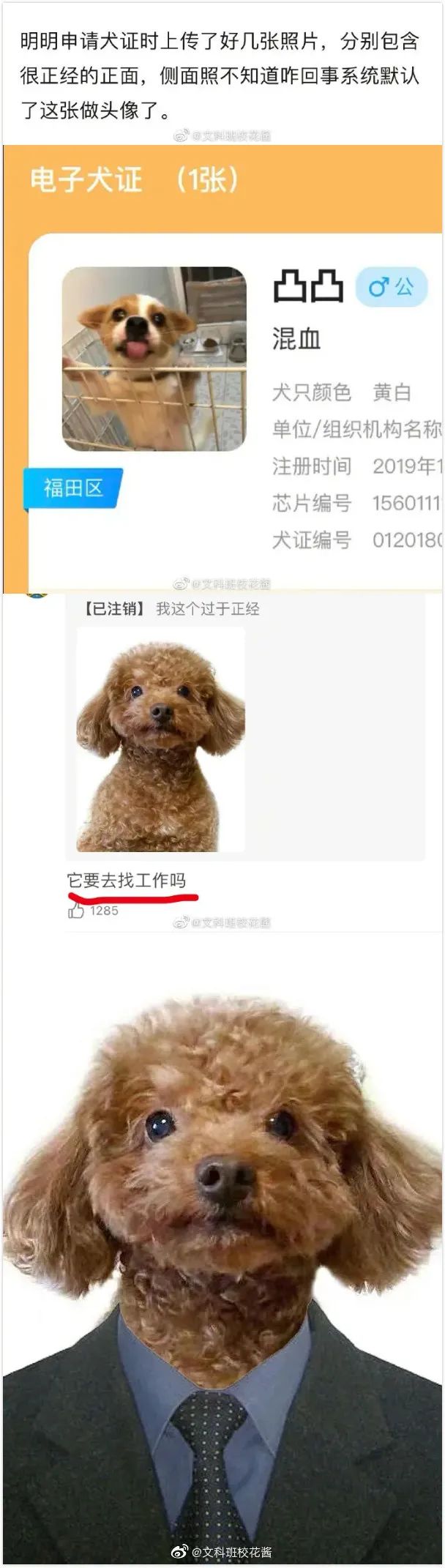 惊!这个国家的男人舌头普遍比别人灵活3%!-微信头条网 惊!这个国家的男人舌头普遍比别人灵活3%!