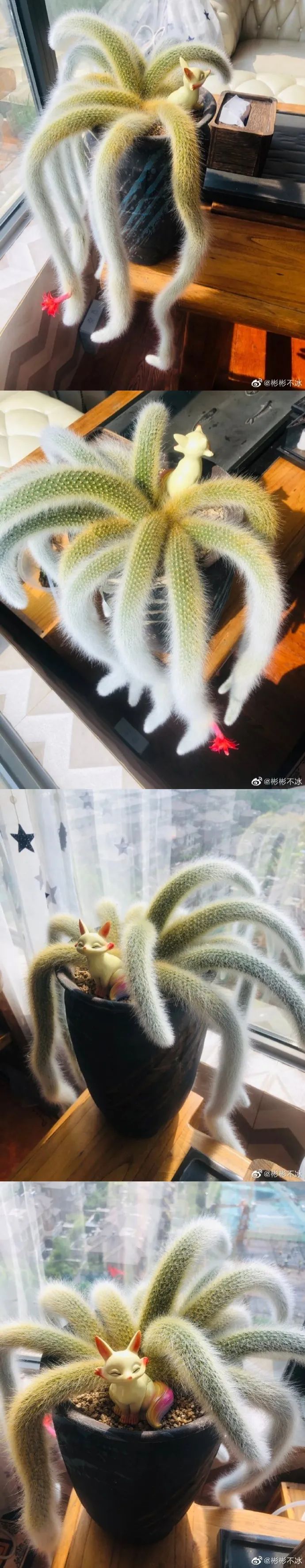 酒店前台到底是什么神仙职位，哈哈哈哈笑不活了。