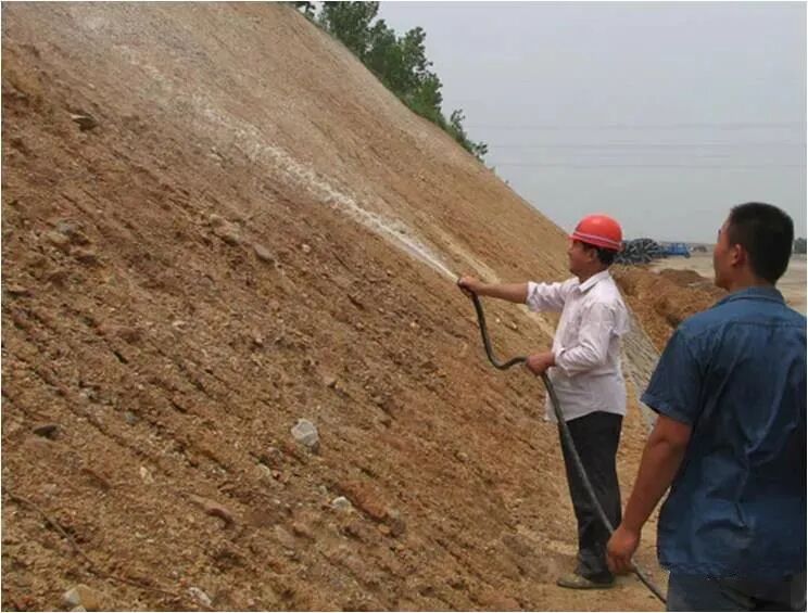 最强岩土分类知识科普！从岩石到淤泥！图文并茂！的图14