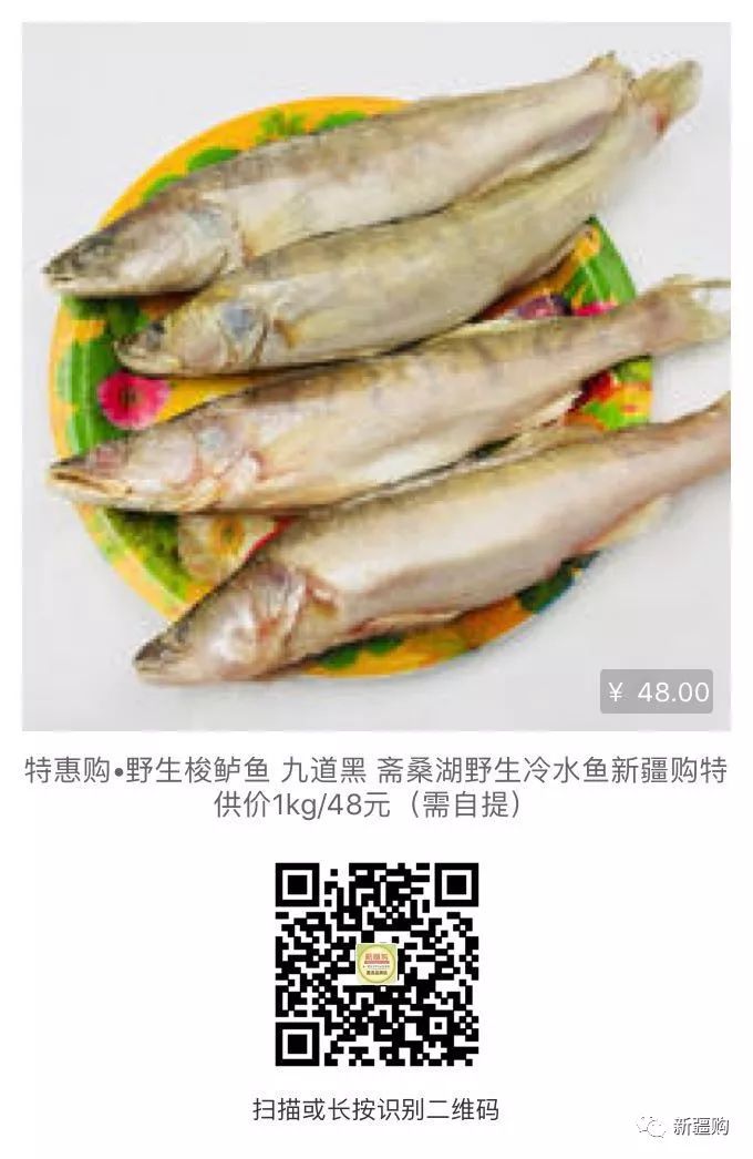 來自哈國齋桑湖野生冷水魚,不用等了現在我們也能吃上了