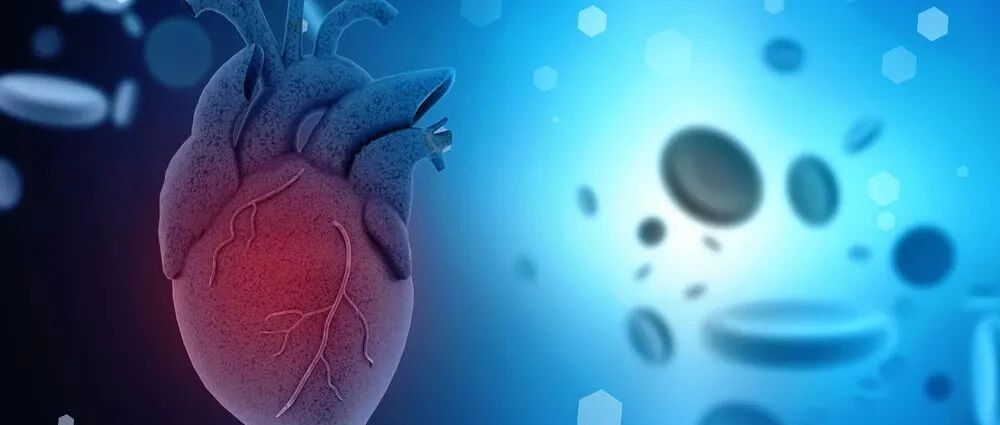 面对心衰患者，如何优化药物治疗？