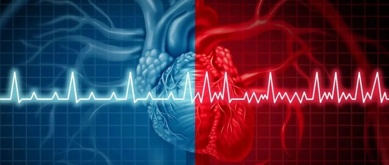 防「颤」抗凝我们在行动