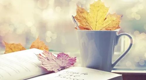 迎新春 送好禮 軟件免費(fèi)用 紅包封面免費(fèi)拿的圖2