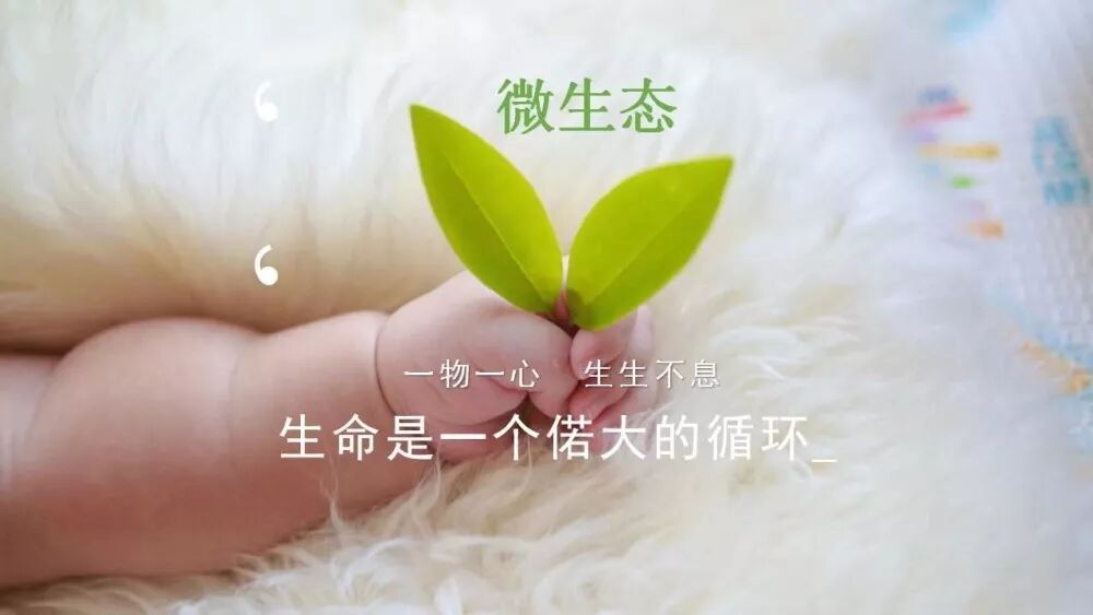 新品来啦！米菲婴儿Well C微生态纸尿裤，上线！