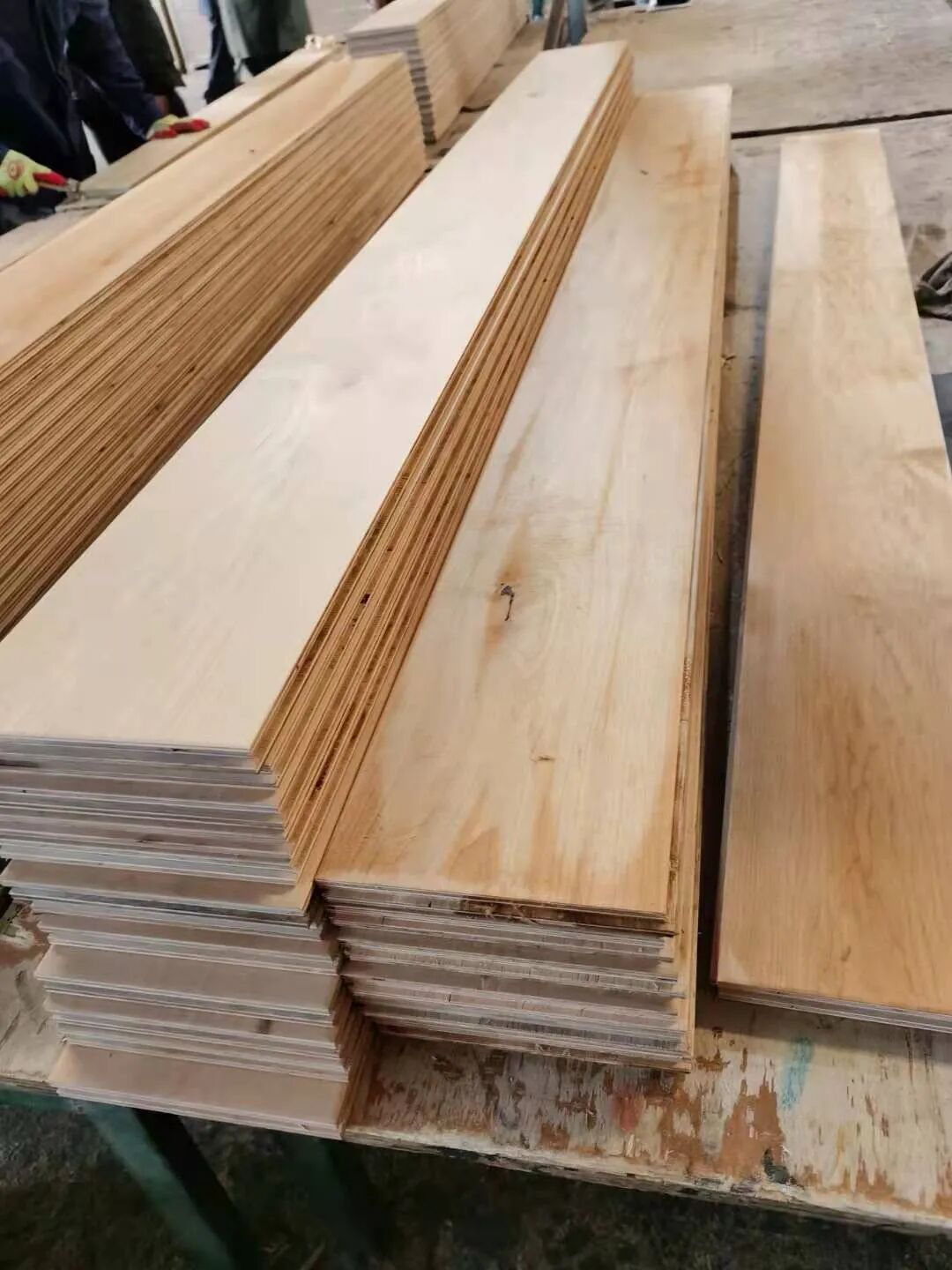 速生树种_硬阔属于慢生树种吗_树种生长特性有什么