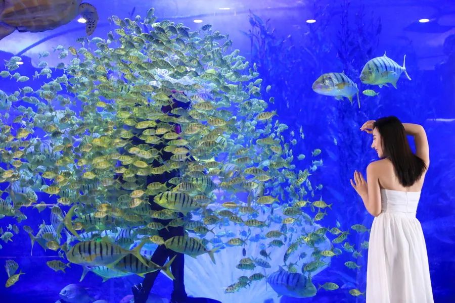 震撼来袭！青岛海底世界“数码生物”悉数登场！