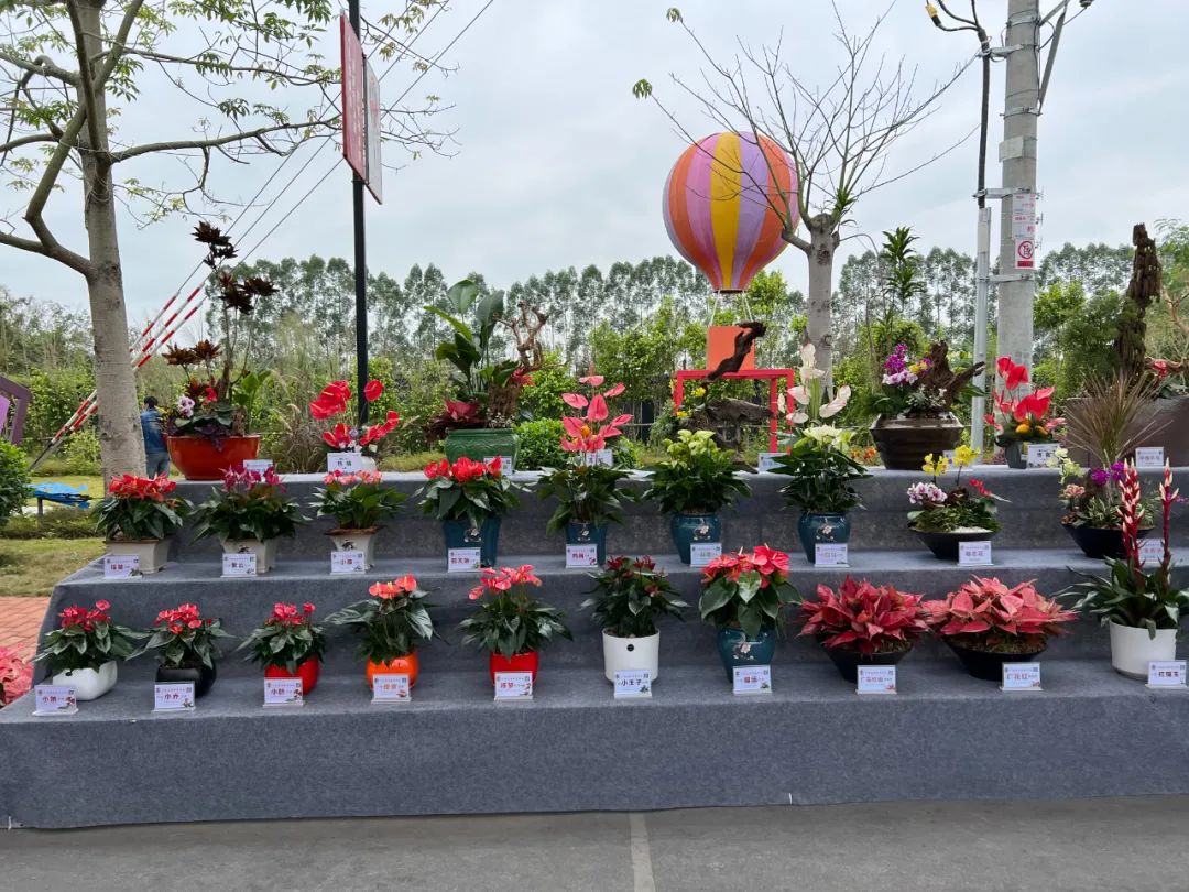 广州国际花卉博览会图片