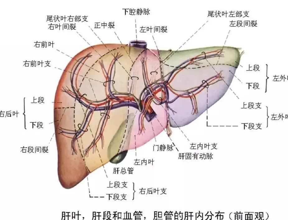 cusa刀有哪些品牌手握“Cusa”刀，心中有“雄策”，对这个“隐形杀手”他可以做到精准打击_https://www.jmylbn.com_新闻资讯_第5张