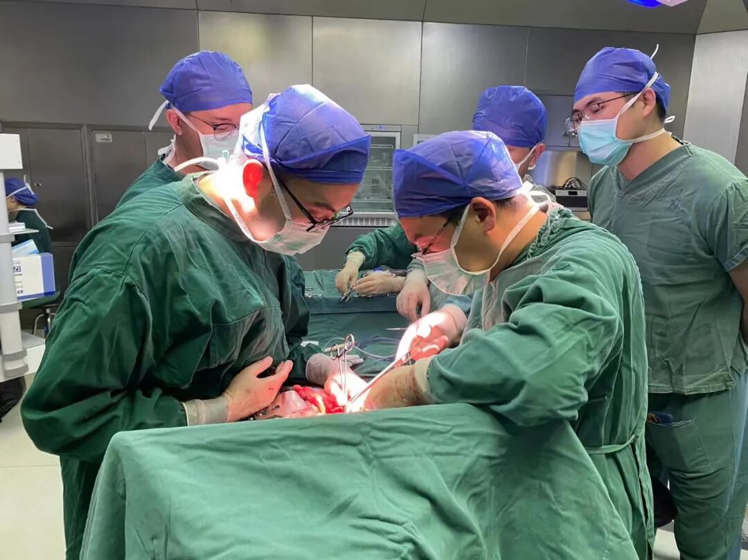 cusa刀有哪些品牌手握“Cusa”刀，心中有“雄策”，对这个“隐形杀手”他可以做到精准打击_https://www.jmylbn.com_新闻资讯_第8张