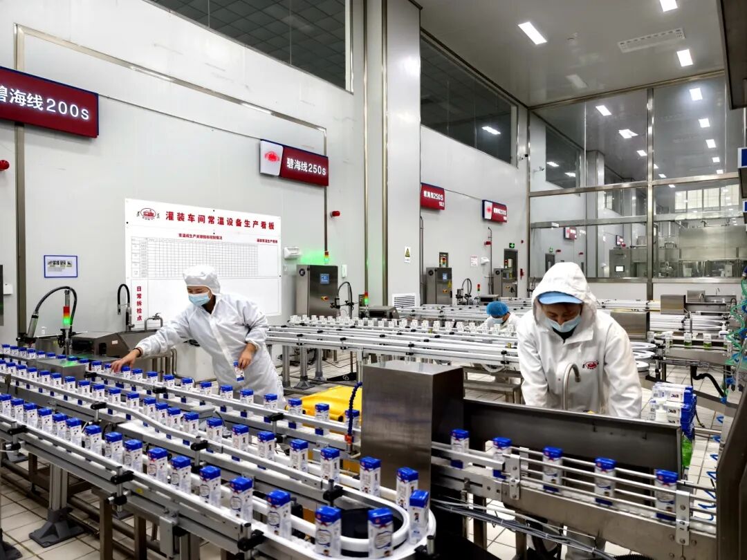 只见整洁明亮的生产车间里布满纵横交错的管道,一盒盒牛奶在自动化