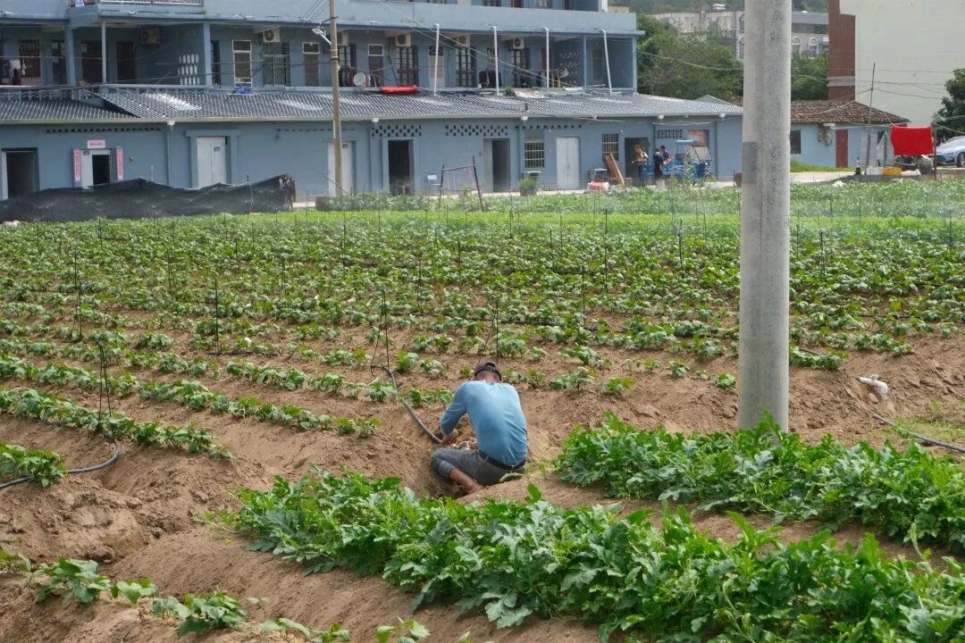 助力节水型社会创建，长乐这样做......