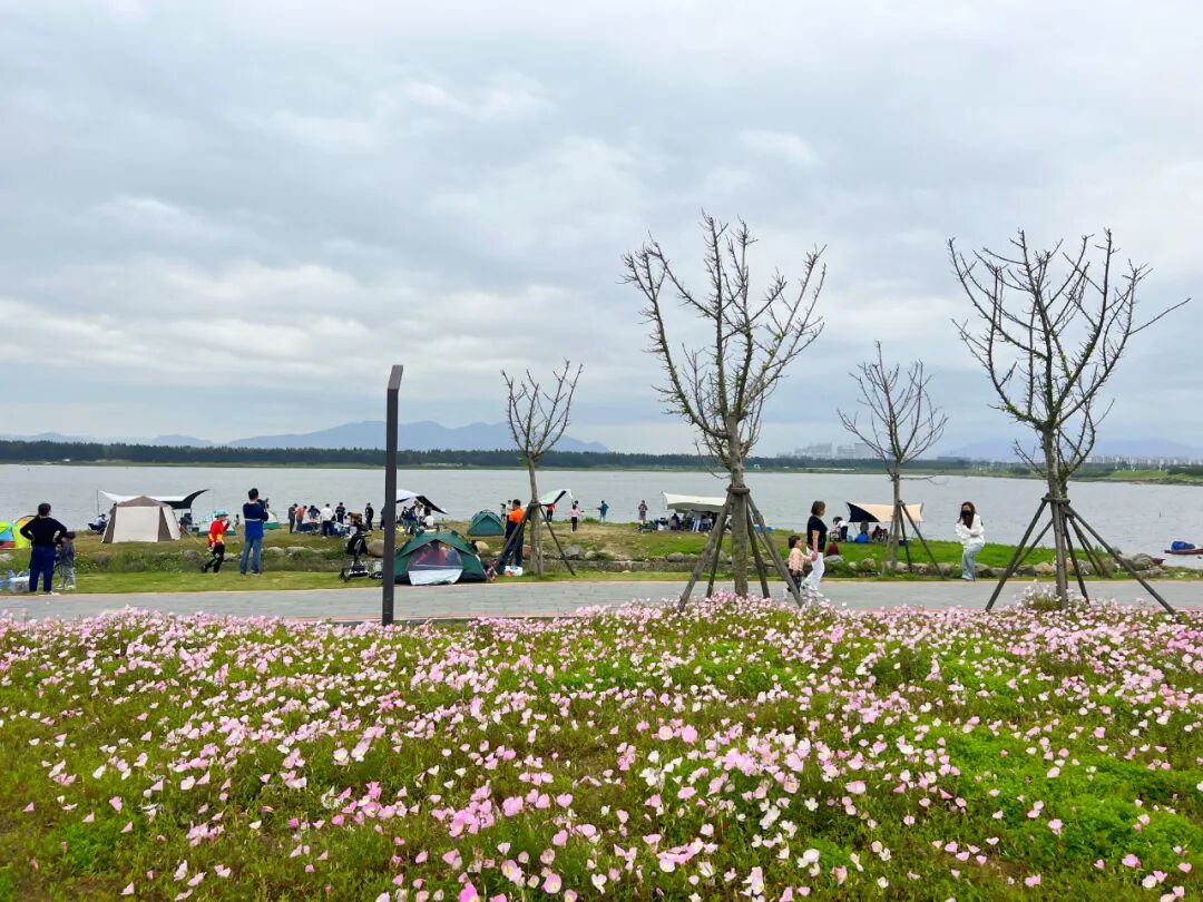 日均5000人次！长乐这里比夏天更火热！速来！