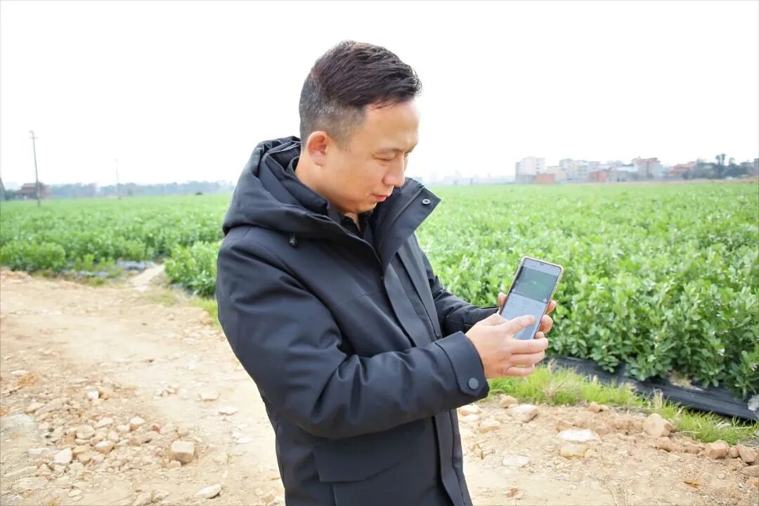 想省时省力吗？用它！