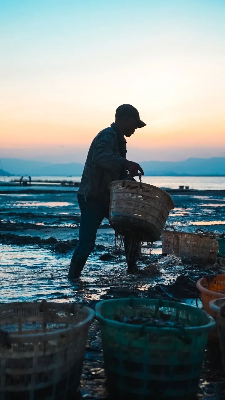 “渔”众不同！这里的全蛏宴，你吃过“梅”？_正文_乡镇风采_长乐新闻网