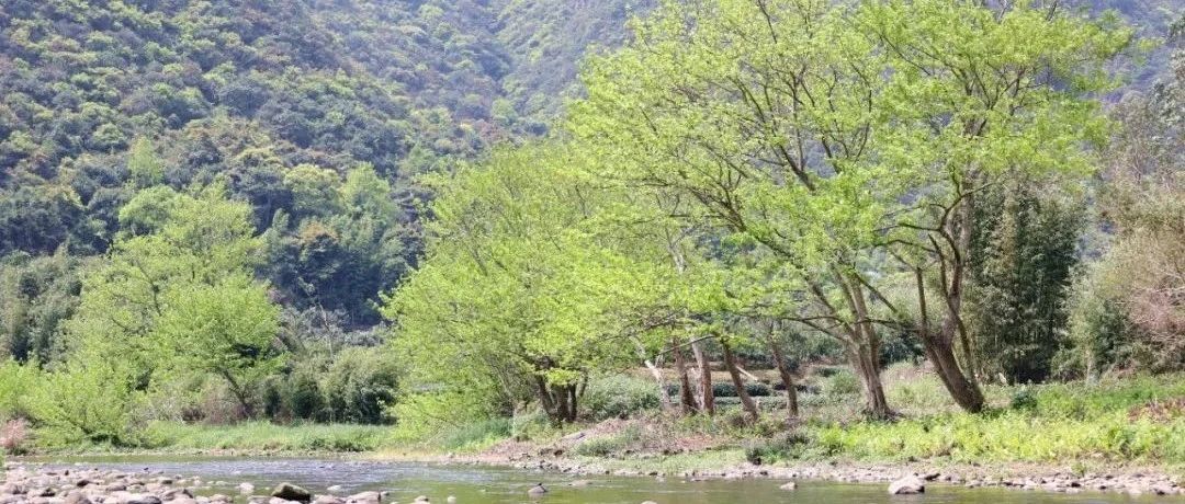 “文艺助推乡村振兴，走进秀美虞关”文艺作品选登（九）