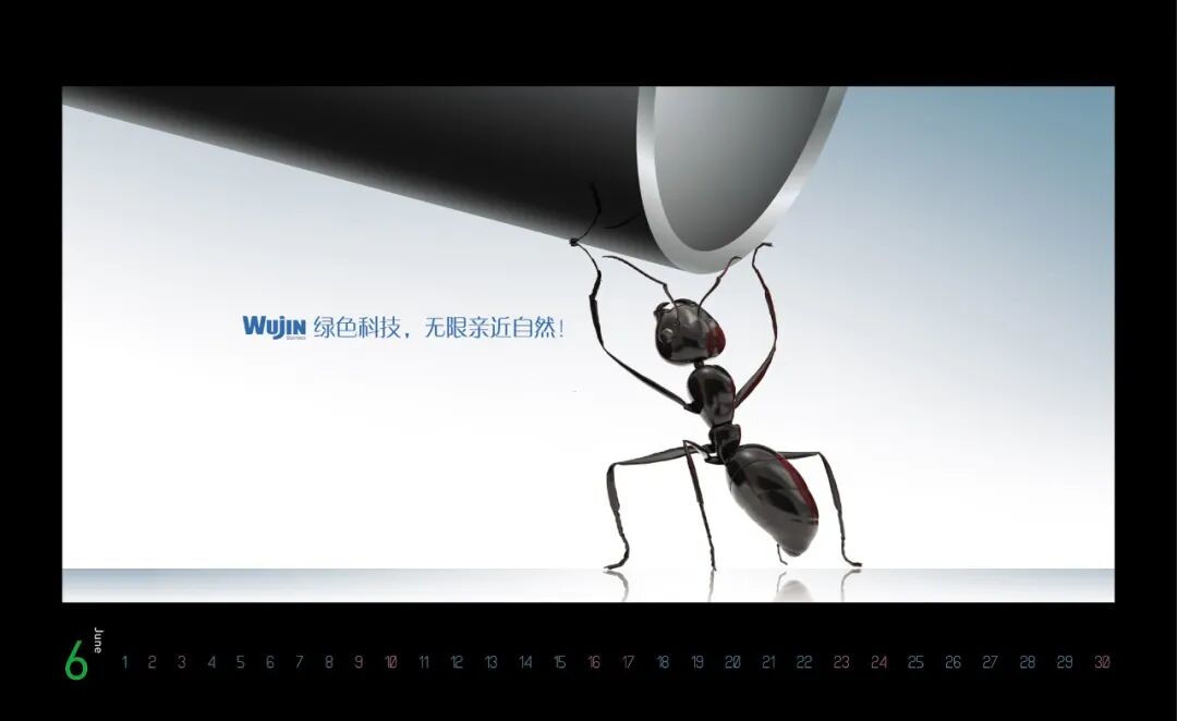 Wujin_Calendar_2012_2_op-05