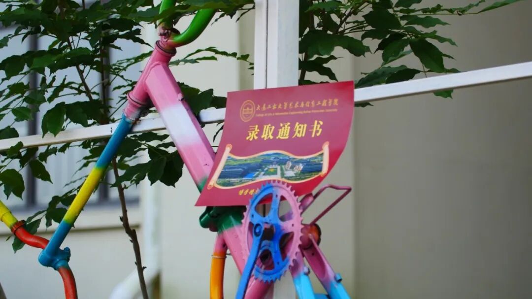P1540661.JPG