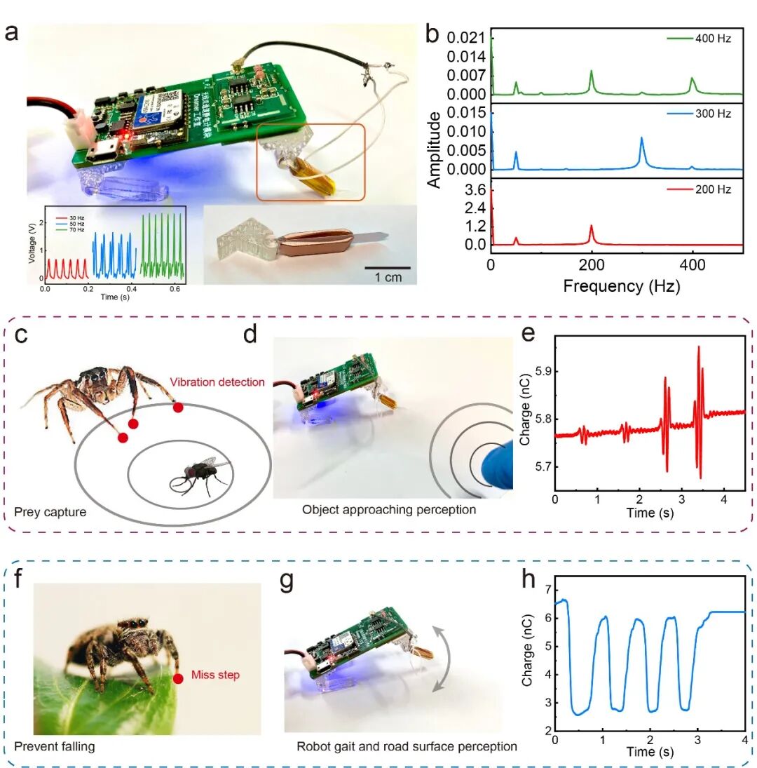 王中林院士团队AM：自供能仿生胡须，机器人的新一套环境识别系统的图5