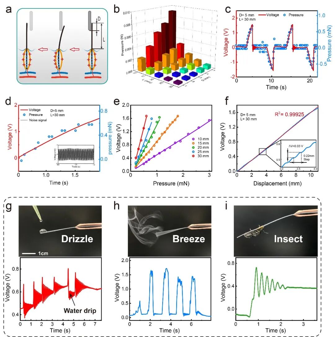 王中林院士团队AM：自供能仿生胡须，机器人的新一套环境识别系统的图3