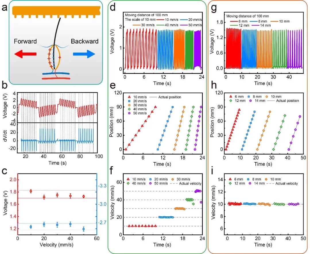 王中林院士团队AM：自供能仿生胡须，机器人的新一套环境识别系统的图2