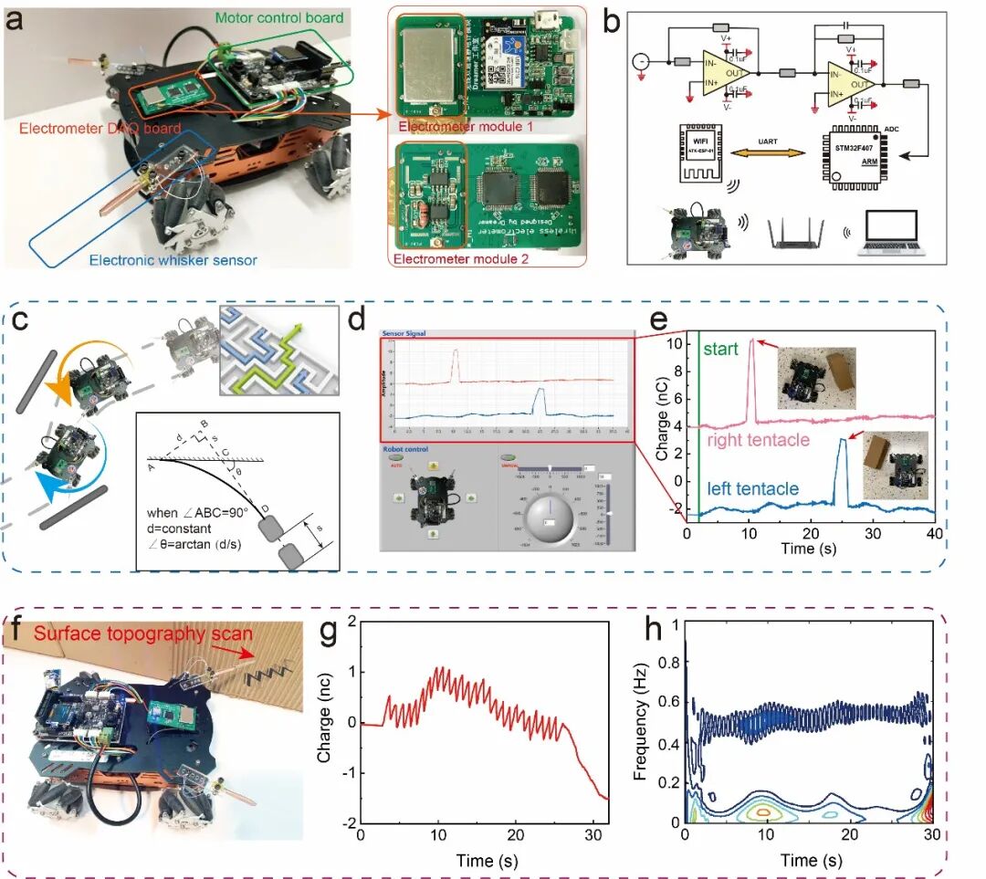王中林院士团队AM：自供能仿生胡须，机器人的新一套环境识别系统的图4