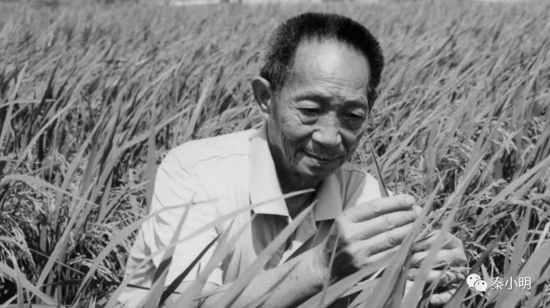 袁隆平逝世