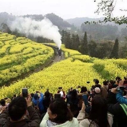 对不起，朋友圈里的网红景点都是骗你的