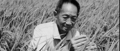 袁老摔倒后器官衰竭去世，人生最后一次骨折需警惕!