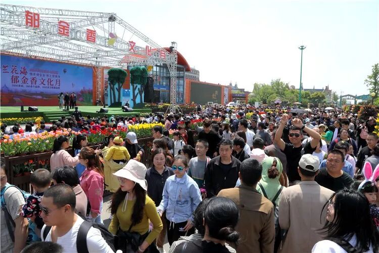 昨晚央视连“秀”盐城两处“花” 怎么能这么美