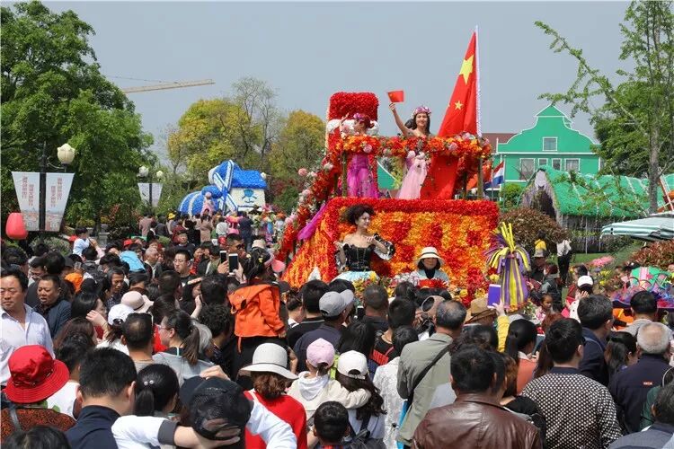 昨晚央视连“秀”盐城两处“花” 怎么能这么美