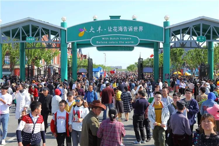 昨晚央视连“秀”盐城两处“花” 怎么能这么美