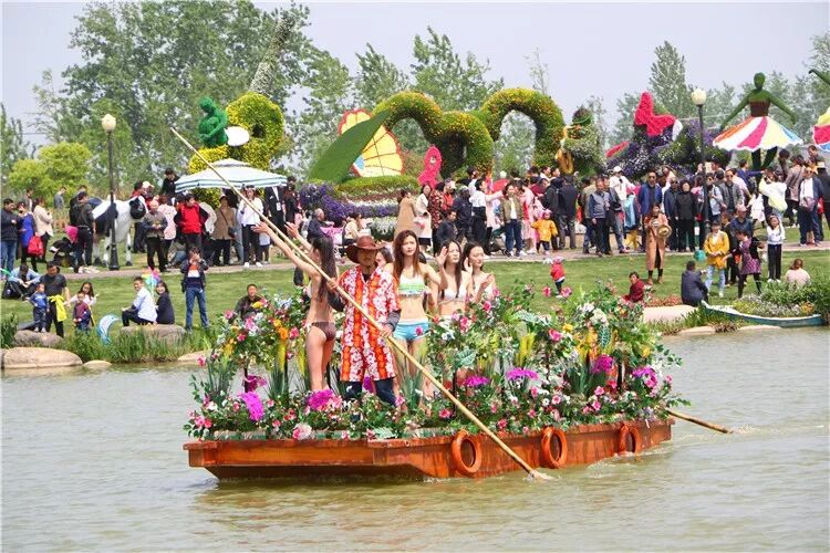 昨晚央视连“秀”盐城两处“花” 怎么能这么美