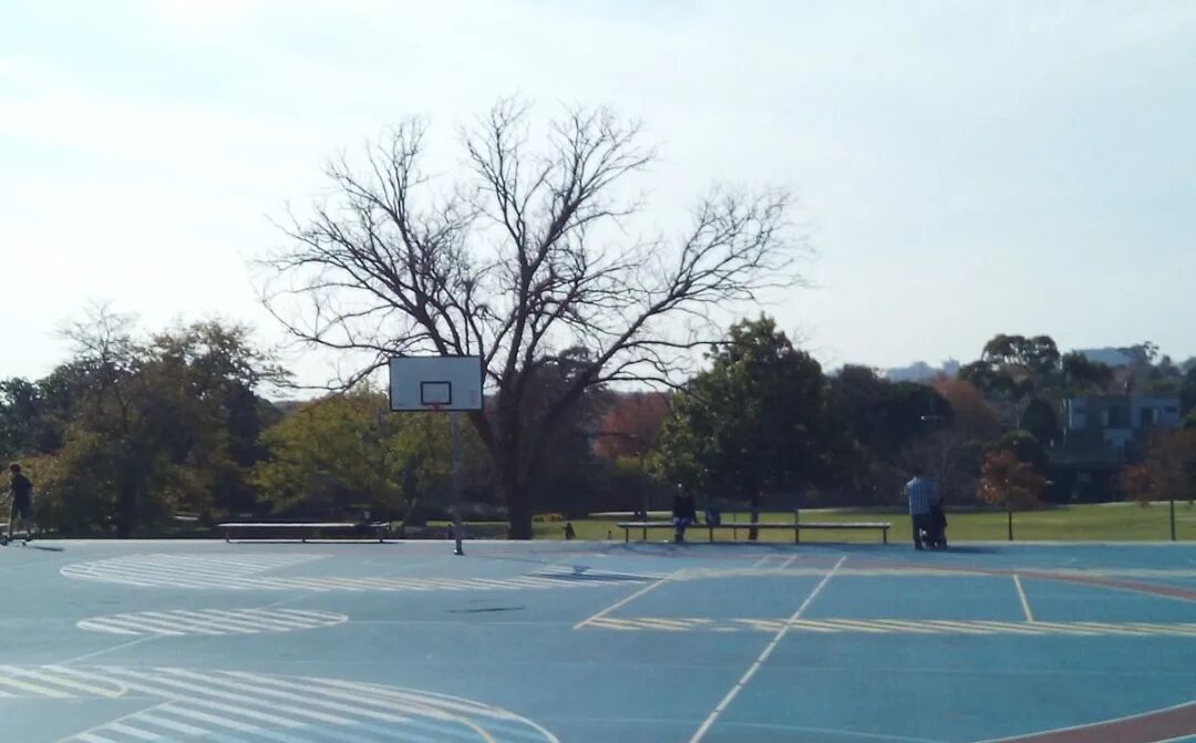 Box Hill Gardens - All You SHOULD Know Before Going 2026 (with Reviews)