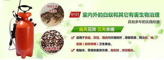 蟑螂藥加盟