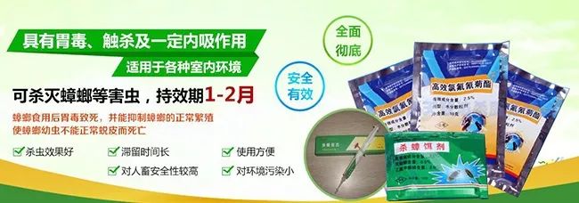 蟑螂藥加盟