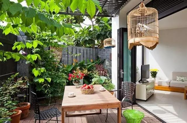 500棵植物，环绕的家