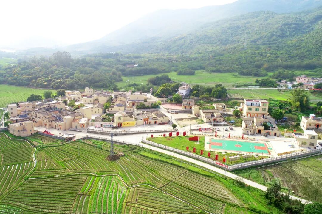 当日下午3时,莫锦云首先来到东平镇良洞村党群服务中心,听取相关负责