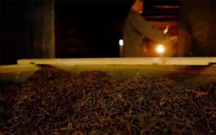 冬季也适合喝红茶！红茶的汤色变红，经历了怎么样的一个过程？