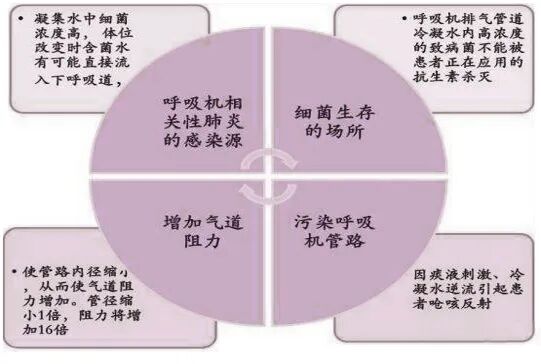 呼吸机加湿器用什么水再小一杯呼吸机冷凝水，也不该被忽略！_https://www.jmylbn.com_新闻资讯_第3张