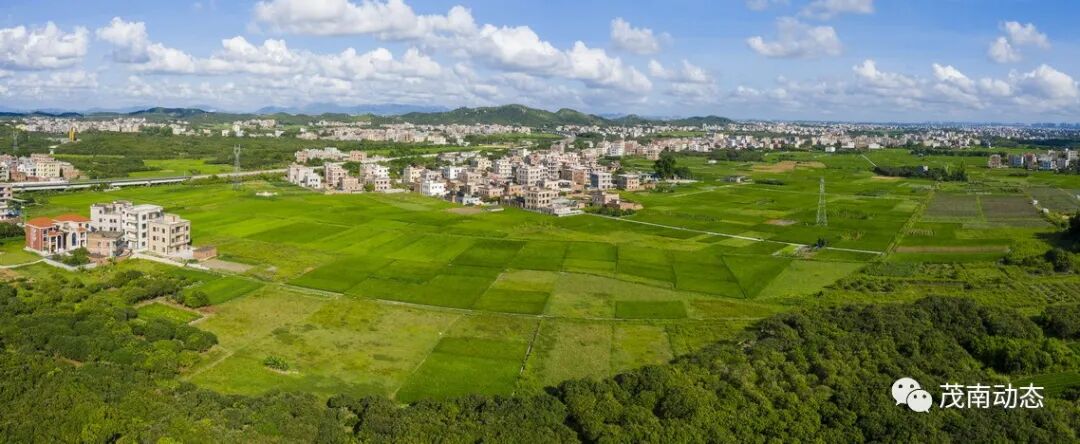 党心联民心议事更办事聆听百姓说党日议事会里的羊角故事