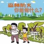 安全温馨提醒 | 森林防灭火致全市学生家长的一封信