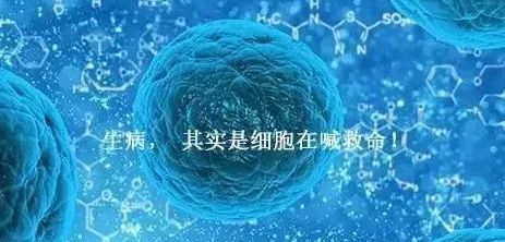 山东尚谷农业集团有限公司