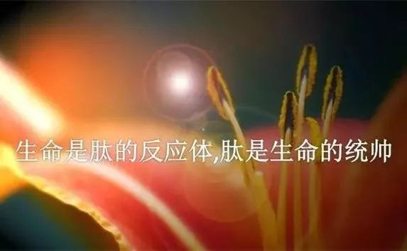 山东尚谷农业集团有限公司