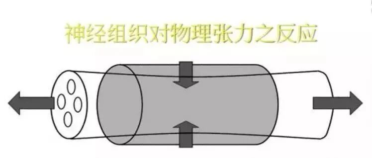 神经松动术手法演示