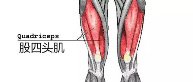 膝盖周边痛！膝关节疼痛一般是什么病？（全攻略）