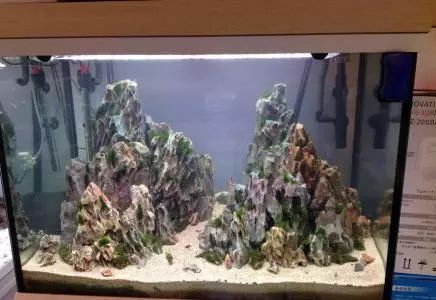 60鱼缸青龙石造景骨架_鱼缸青龙石造景教程_青千层石鱼缸造景