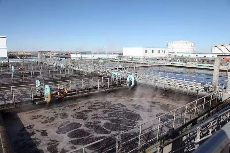 論焦化污水處理溶解氧的重要性的圖1
